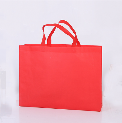 EPB003  Design non-woven bag Customized green tote bag Supply green bag Eco bag manufacturer Eco bag price detail view-1